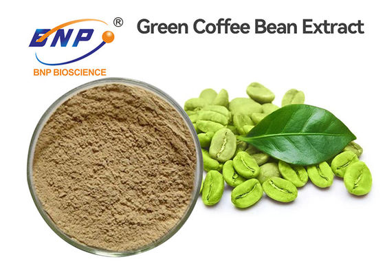 Produto comestível verde de Bean Extract Chlorogenic Acid 50% do café