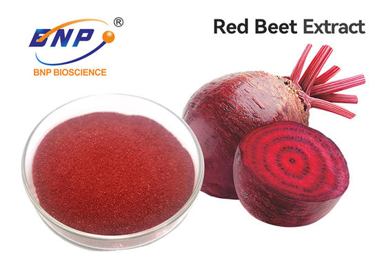 Extrato natural roxo da raiz da beterraba vermelha do suplemento 100% ao pó das frutas e legumes