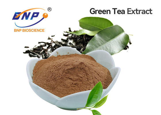 Polyphenols do chá do extrato do chá verde 20%-98% Brown, pó branco