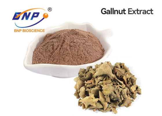 Pó fino ácido elágico ácido gálico do tanino do extrato de Gallnut