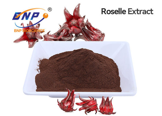 Pó vermelho de Roselle Extract Anthocyanins Brown