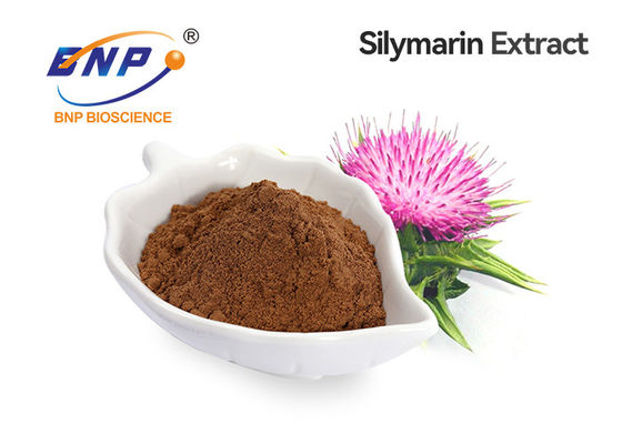 O cardo de leite antioxidante frutifica Silybum Marianum do extrato 30% Silybin 80% Silymarin
