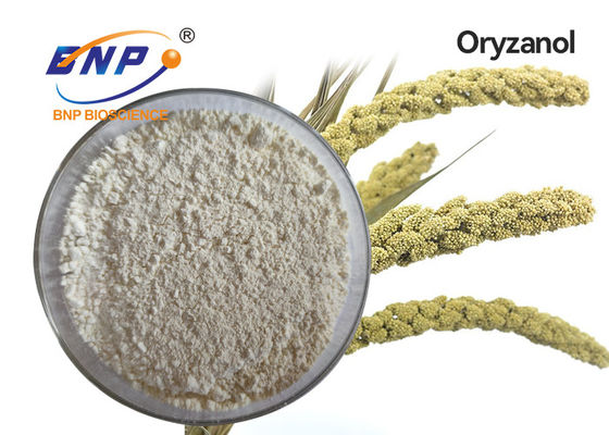 CAS No. 11042-64-1 pó cristalino branco de Oryzanol da gama dos extratos naturais da planta