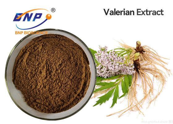 Fonte 100% Valerian Extract ácido Valeric natural da fábrica