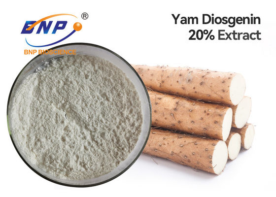 Os extratos naturais da planta de Diosgenin 6% ordenham Yam Root Powder selvagem branco