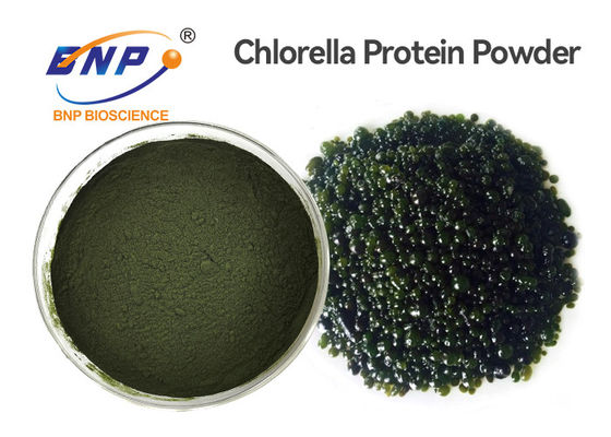A planta natural do produto comestível extrai o pó vulgar do Chlorella do PBF