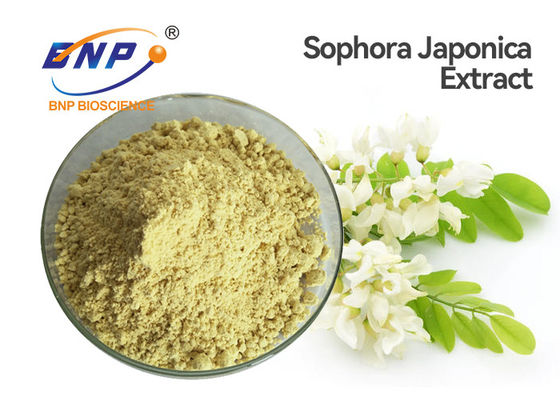 O extrato amarelo de Japonica do Sophora pulveriza o pó do Dihydrate da quercetina do produto comestível