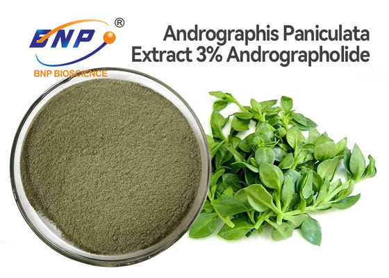 Pó antiviroso natural do extrato da folha de Andrographis Paniculata dos suplementos a 3% Andrographolide