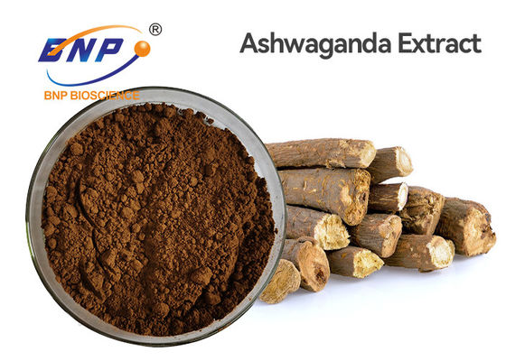 Raiz natural de Ashwagandha Withania Somnifera dos extratos da planta de Withanolides 1,5%