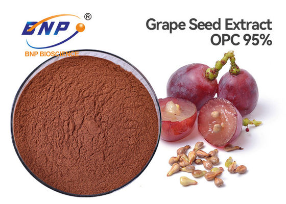 Cuidado orgânico vermelho dos cosméticos do Polyphenol 95% do extrato da semente da uva de Brown