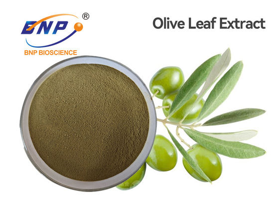 A planta natural amarela de Brown da HPLC extrai o Oleuropein 60% Olive Leaf Extract Powder