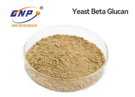 Os nutrientes naturais iluminam-se - os polisacáridos amarelos de Beta Glucan 80% do fermento pulverizam o PBF