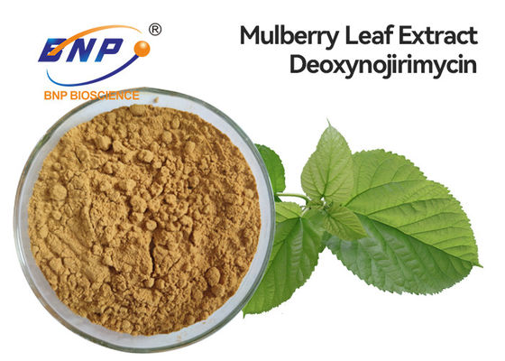 A saúde suplementa o extrato natural Deoxynojirimycin da folha da amoreira de 5% DNJ