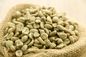 Produto comestível verde de Bean Extract Chlorogenic Acid 50% do café