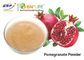Claro - romã orgânica cor-de-rosa Juice Powder 40 Mesh Punica Granatum Fruit Extract