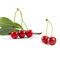 Acerola antienvelhecimento de alta qualidade Cherry Extract Powder da vitamina C de 17%