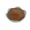Polyphenols do chá do extrato do chá verde 20%-98% Brown, pó branco