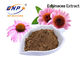 Produto comestível do Polyphenol 4% do extrato de Purpurea do Echinacea