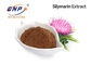 Proteção do fígado do extrato da semente do cardo de leite de Silybin 99%