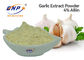 O extrato inodoro do alho do PBF pulveriza o tipo do BNP de 4% Allicin