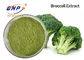 Claro - malha orgânica verde do produto comestível 80 do pó do broto dos brócolis