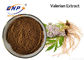 Fonte 100% Valerian Extract ácido Valeric natural da fábrica