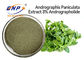 Pó antiviroso natural do extrato da folha de Andrographis Paniculata dos suplementos a 3% Andrographolide