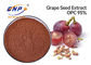 Negro L. do Sambucus dos Polyphenols 70% do pó do extrato da pele da uva da HPLC.