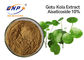 Extrato Asiatica de Asiaticoside 80% Centella para a pele Gotu branco Kola Extract Powder