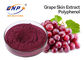 Vitis do extrato da pele da uva vermelha do Polyphenol de 20% - negro L. do Sambucus de vinifera.