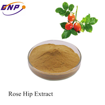 A melhor fonte Rose Hip Extract With Vitamin C /Polyphneol do preço da fábrica do BNP