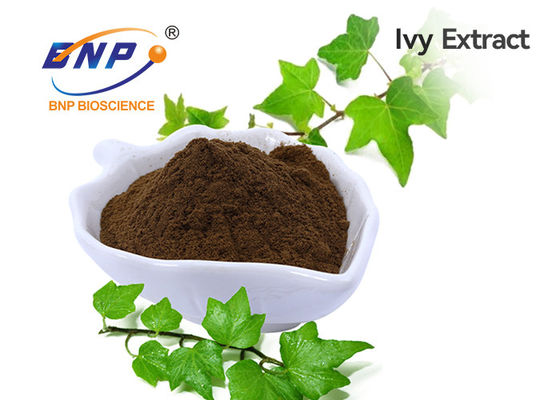 10:1 natural do extrato da hélice de Ivy Leaf Extract Powder Hedera ou 10% Hederacoside C