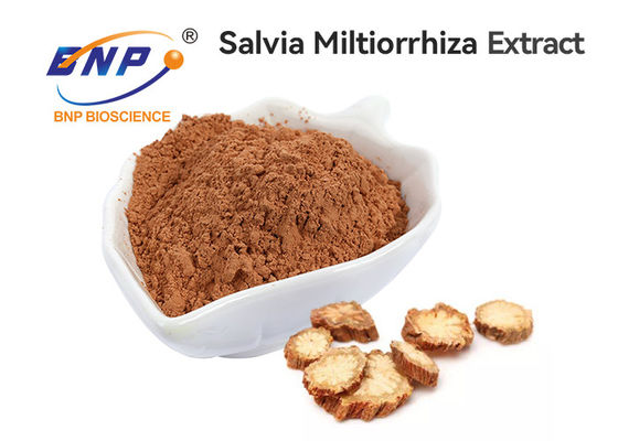 Fábrica do BNP de Salvia Root Extract From da qualidade superior