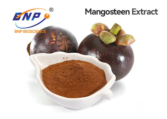 GMP/ISO certificou o pó natural do extrato do mangustão da alfa-mangostin 10%-90% de BNP China