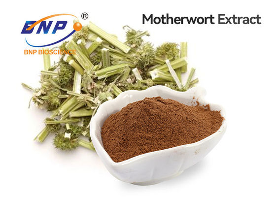 Pó de Brown do produto comestível do extrato do Motherwort