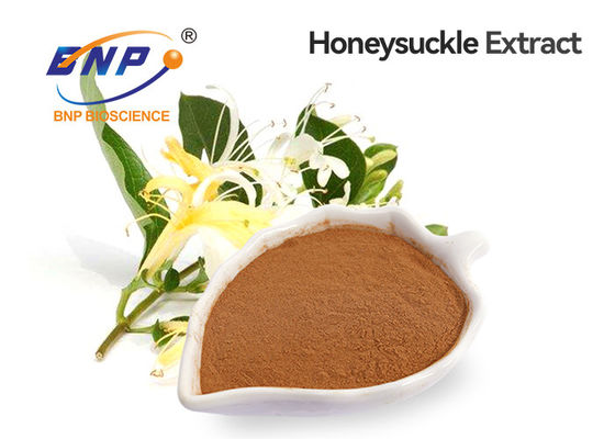 PBF Honeysuckle Flower Extract Chlorogenic Acid 5%-98%