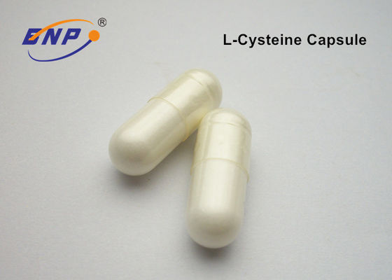 pó branco L cápsulas do suplemento dietético ao OEM 500mg do Cysteine