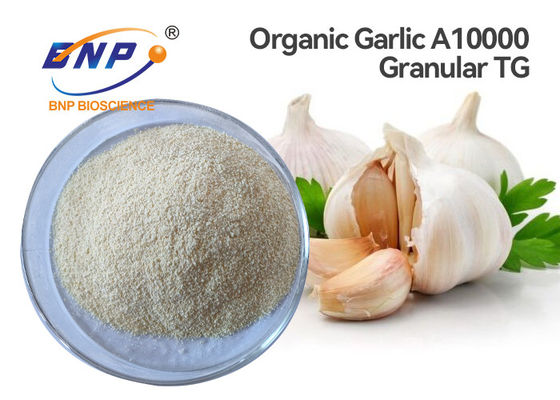 Alium sativum granulado orgânico L. do extrato A10000 do alho de 1% Allicin.