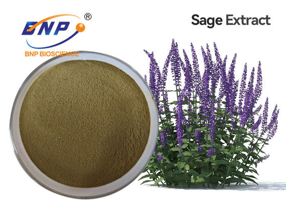 Extrato de Supply Sage Extract Powder Clary Sage do fabricante
