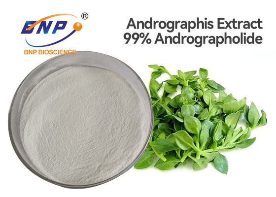 O antibacteriano natural de 99% Andrographolide suplementa Andrographis Paniculata Burm F Nees