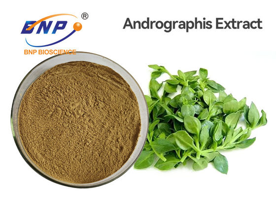 O extrato anti-bacteriano de Andrographis Paniculata do produto comestível pulveriza 3%-99% Andrographolide