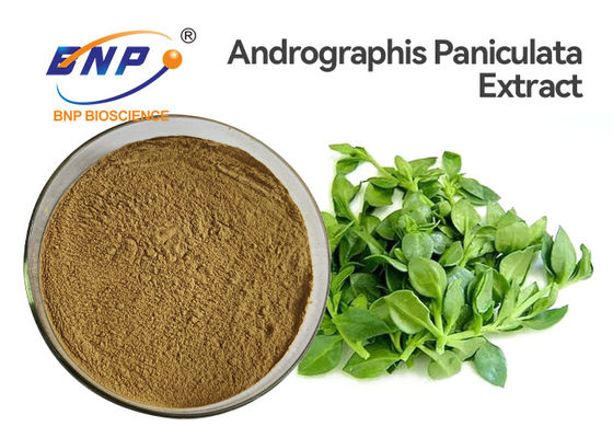 O extrato antiviroso de Andrographis Paniculata pulveriza a HPLC de 50% Andrographolide