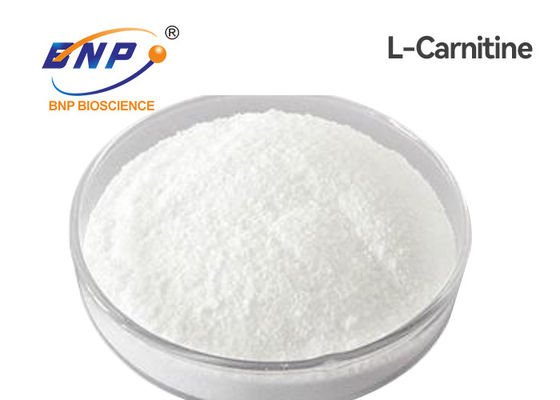 USP Nutraceuticals suplementa Levocarnitine L pó da carnitina