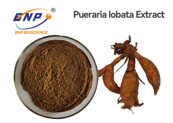 A planta natural da raiz de Kudzu extrai o pó amarelo do Lobata do Pueraria dos Isoflavones 40% Brown