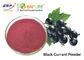 Extrato vermelho roxo do fruto de Juice Powder Food Grade Ribes Nigrum da groselha