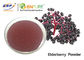 Extrato roxo do fruto do negro de Juice Powder Food Grade Sambucus da baga de sabugueiro
