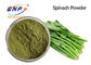 Os espinafres finos verdes folheiam extrato Juice Powder 80 Mesh High Temperature Sterilization