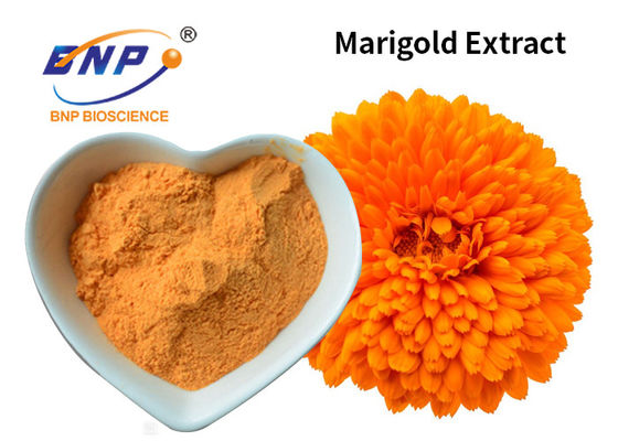 Aditivo de alimento amarelo Tagetes da substância corante do Lutein do pó 10%~80% do extrato do cravo-de-defunto Ereta L.