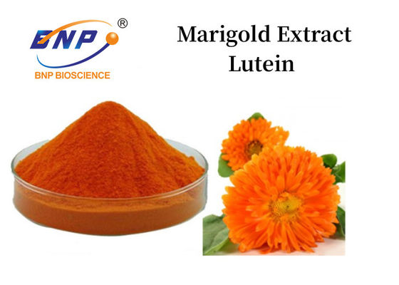 Extrato de Calêndula Luteína em Pó 5%-90% Pó Amarelo Laranja